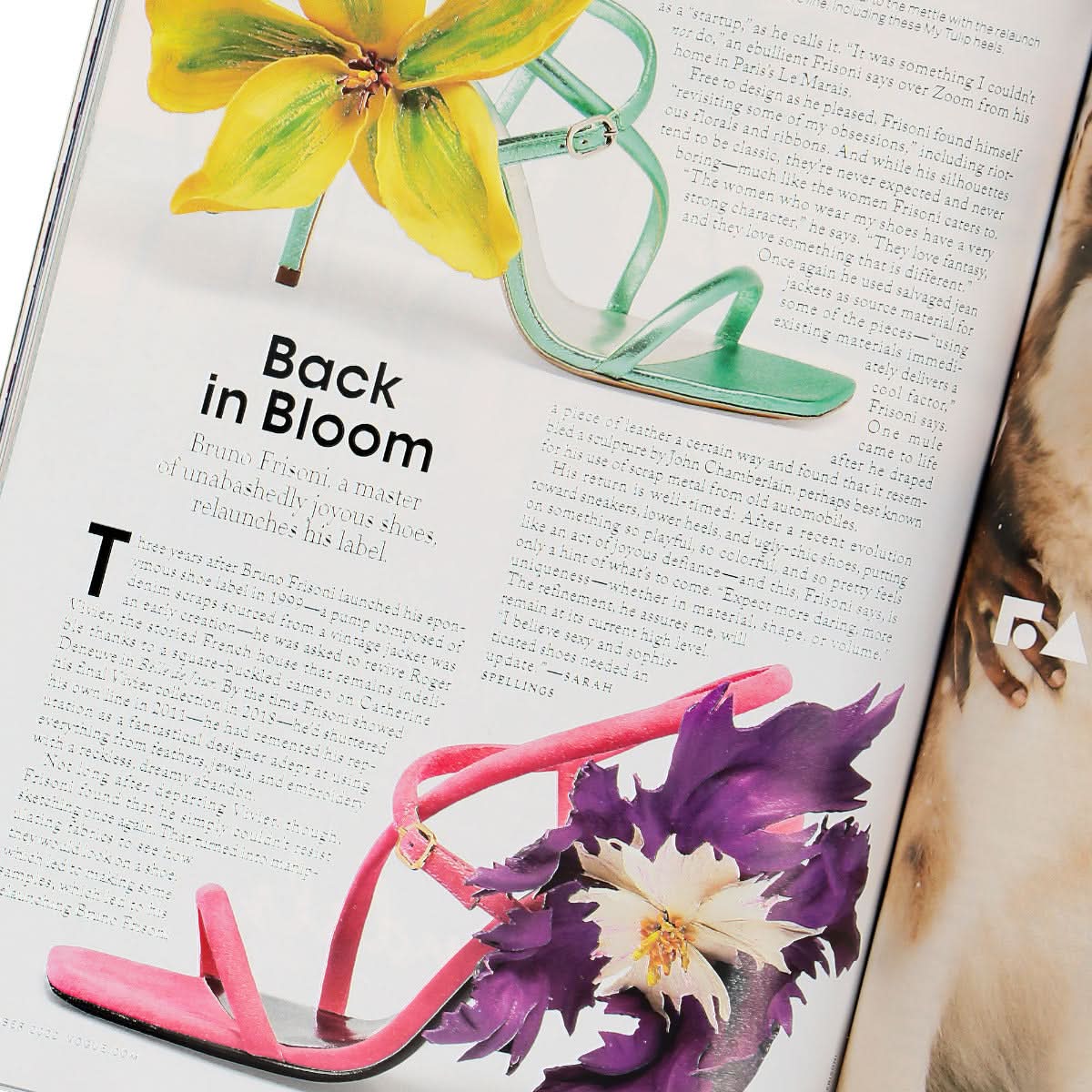 Magazine - Image 3
