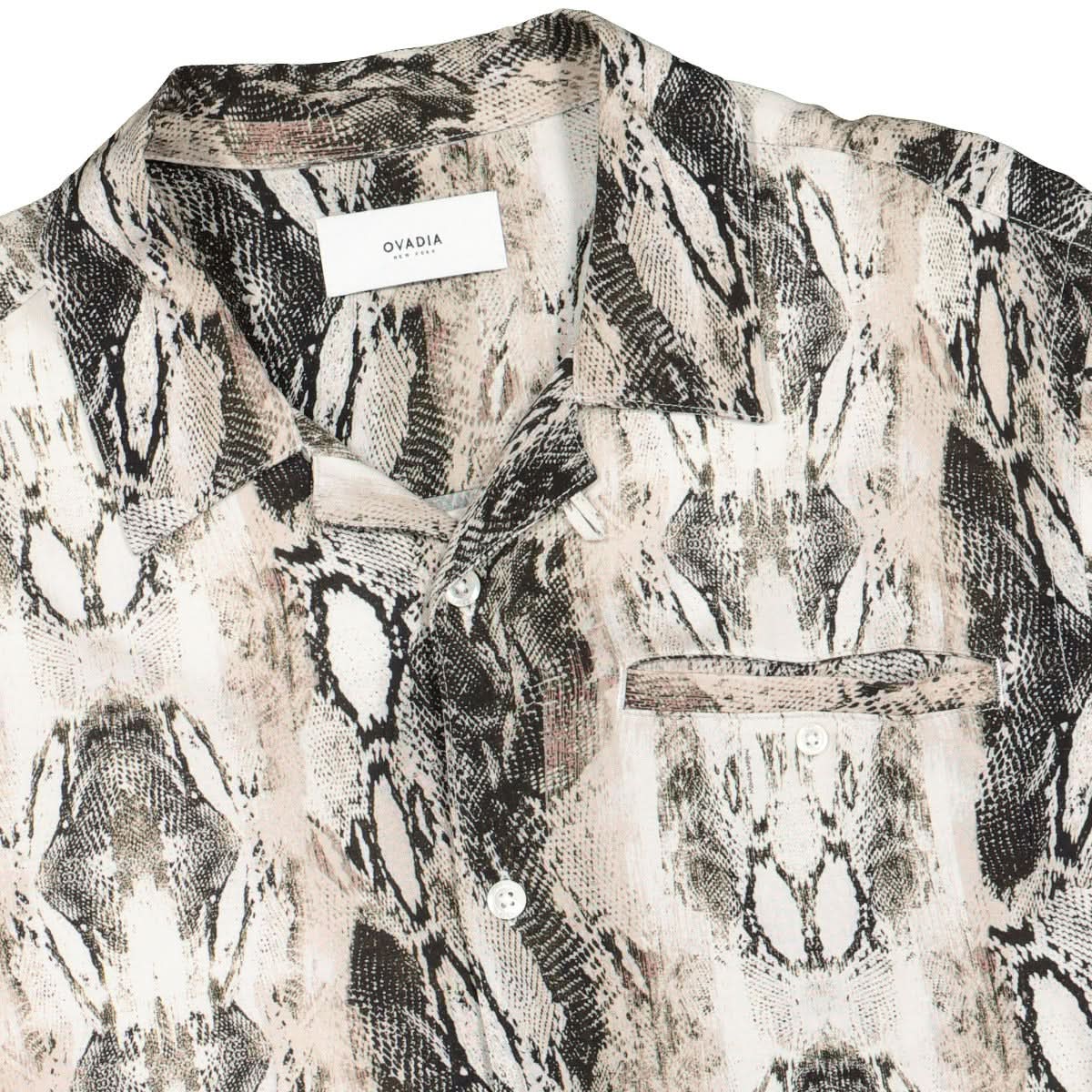 Python Beach Shirt - Image 3